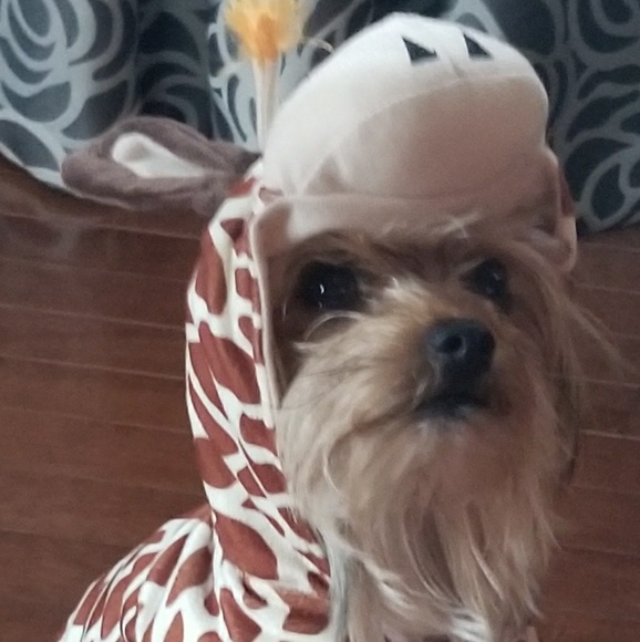 Meet your Posher, Colleen - Picture 1 of 1